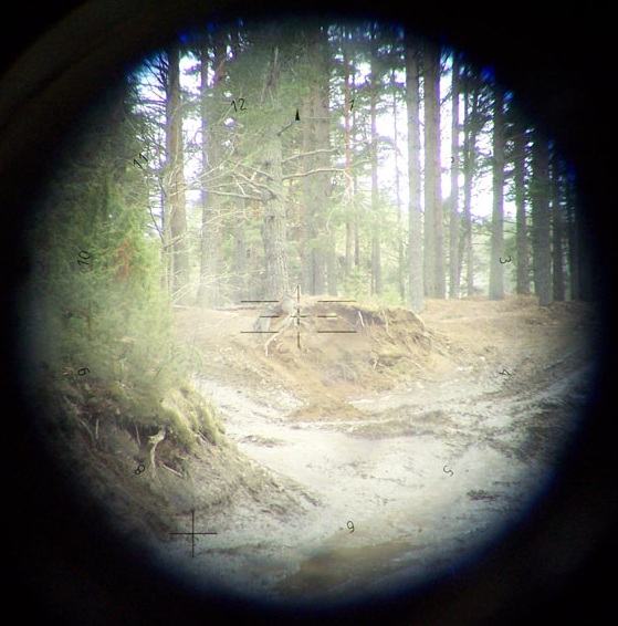 View through the panoramic PERI R17 sight.