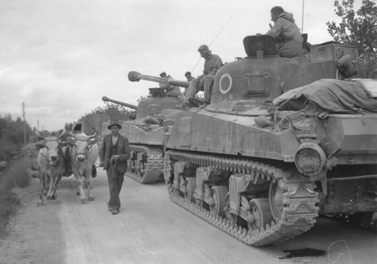 Firefly tanks of the South African Pretoria Regiment, Italy 1944